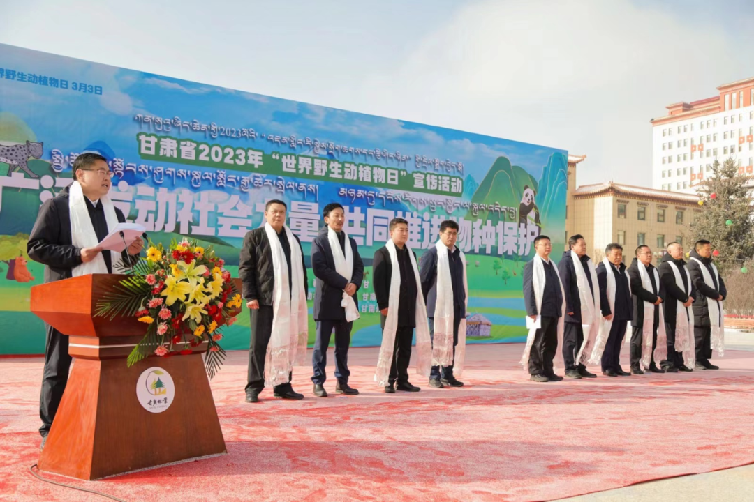 202303061678095025120476.png 1.png