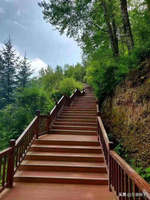 12_副本.jpg 12_副本.jpg